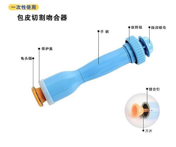 ��Ƥ������