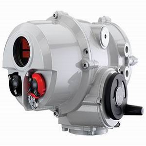 Ӣ��ROTORKִ����