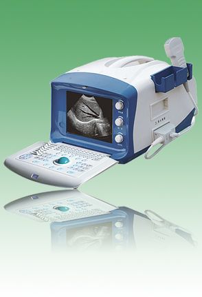 ����͹��B�ͳ��������