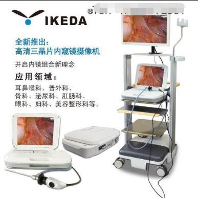 �ڿ��������