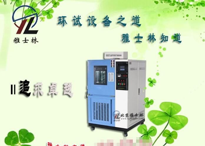 �ߵ���������