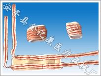 ��֫Լ���� Լ����