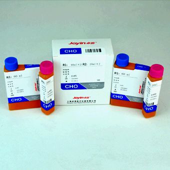 �ܵ��̴���CHO)�Լ���