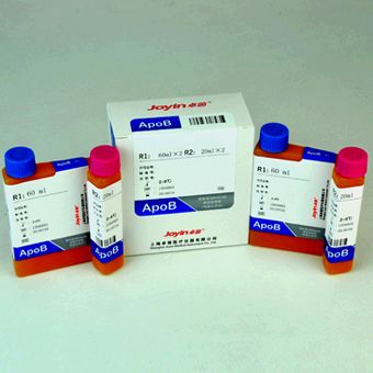 ��֬����B�Լ���