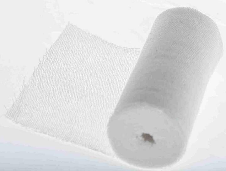 ɴ������