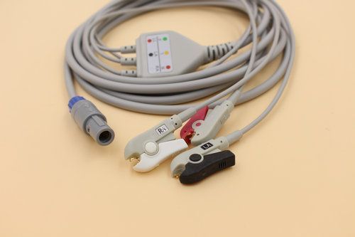 ������Creative���𿵼໤���ĵ絼����/һ��ECG�ĵ����