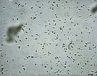 ���Ӽ�����