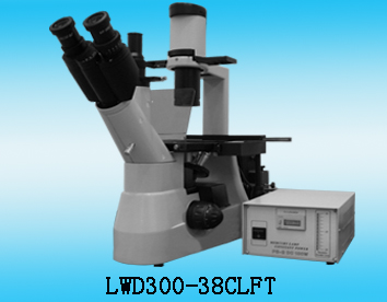 ����ӫ����΢��