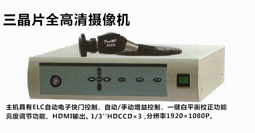 �ɶ����� ����Ƭȫ���������