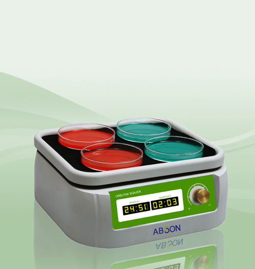 ���ʽ����