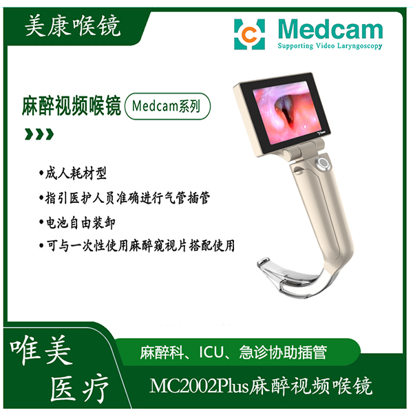 ������Ƶ����