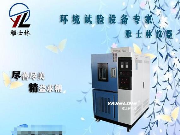 ���º�ʪ������YSL