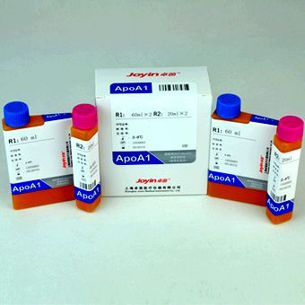 ��֬����A1(ApoA1)�Լ���