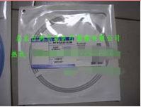 ����������˿