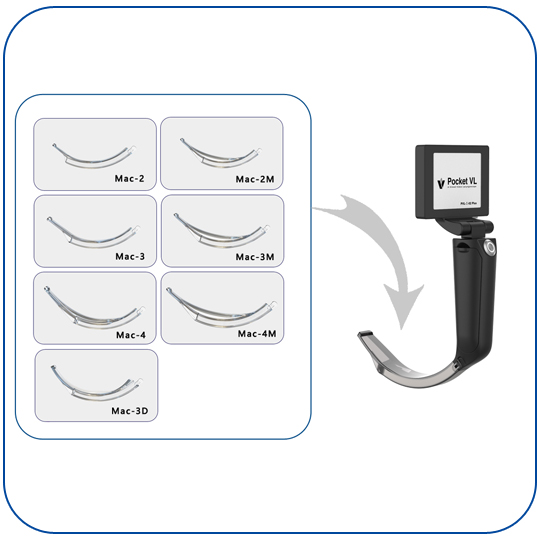 ������Ƶ����