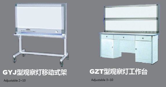 ����-ʮ��������ƶ�ʽ֧��