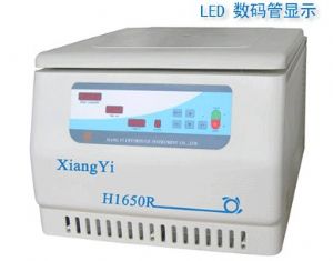 �����䶳���Ļ�