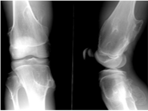 JZ��ɫ��ǩ�ֽ�Ƭ