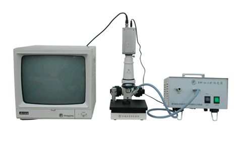 ���Դ΢ѭ�������