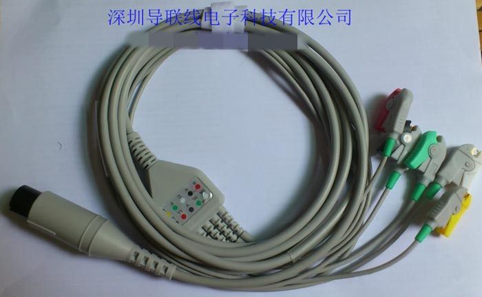 �ĵ�໤������