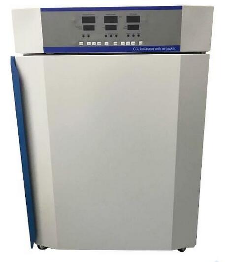 ������̼������