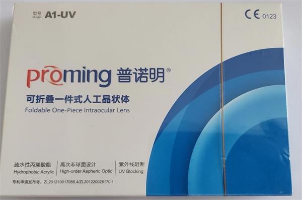 ���۵�һ��ʽ�˹���״��