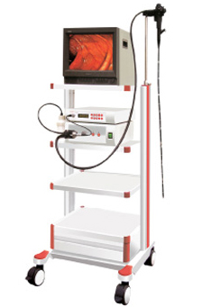 ����θ��