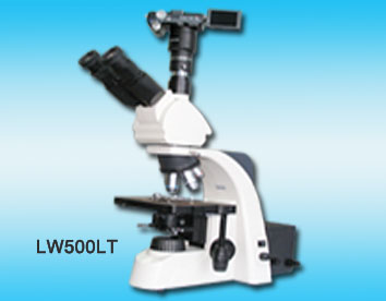 ������������΢��