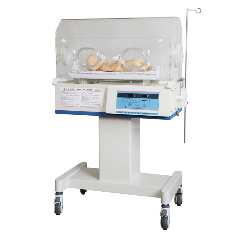 Ӥ��������