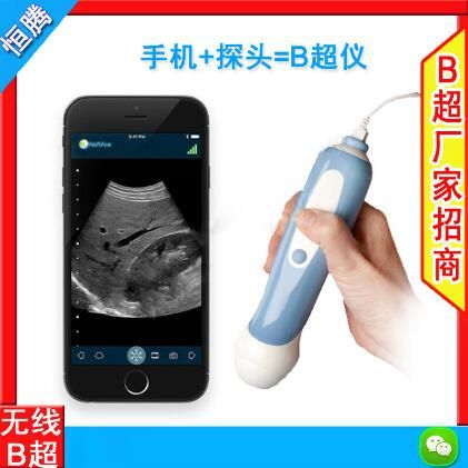 ��ά�ʳ���