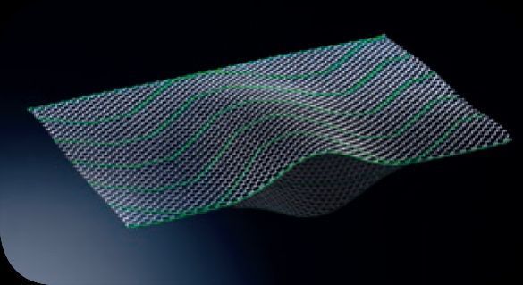 ������Ƭ-ENDOLAP