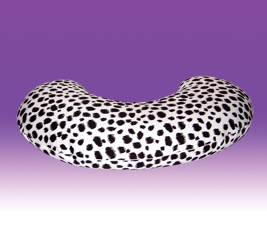 �ڱ���������