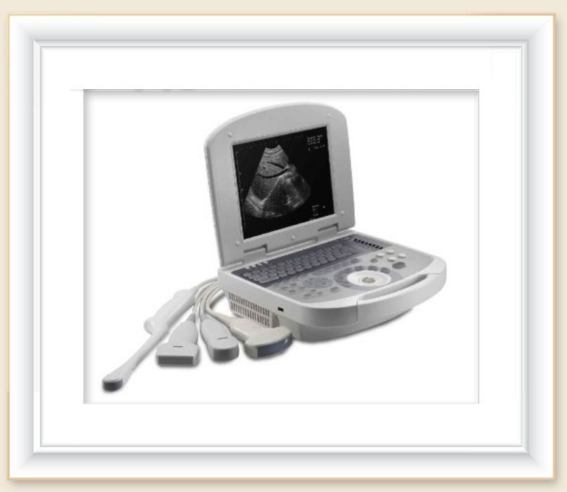 ȫ���ֳ������ϵͳ