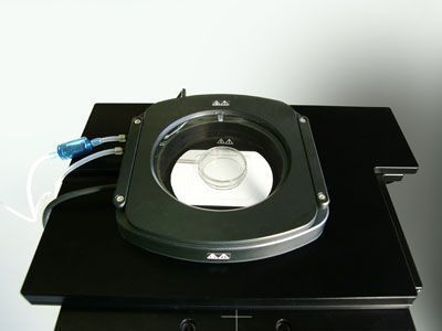 ������΢���������°�