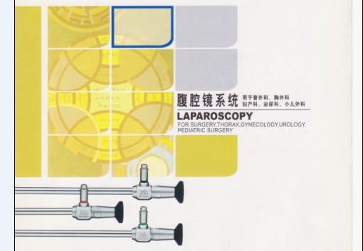 ʷ��˹(STORZ)��ǻ��