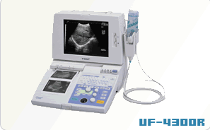 ����ϵ��