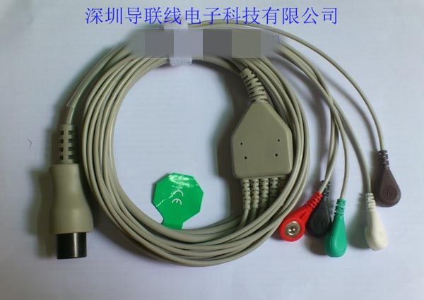 �ĵ�໤������