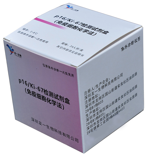 ��һ���﹬����ɸ��ϸ����������Լ�p16/Ki-67����Լ���(����ϸ����ѧ��)
