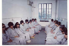 �Բ�������