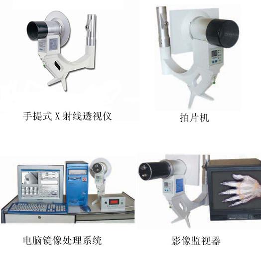 ����ʽX���