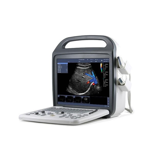 ���ű�Яʽ�ʳ�DCU9��ɫ�����ճ���ϵͳ