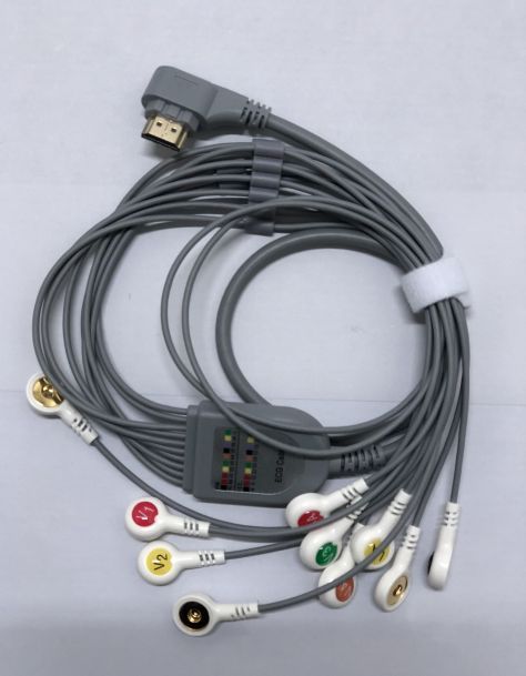 HOLTERʮ��������