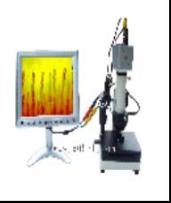 ΢ѭ�������