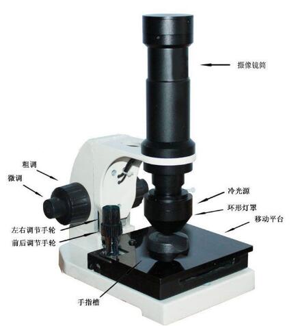 ΢ѭ��������/��΢�۲���