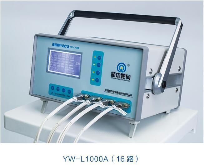 �¿�����������