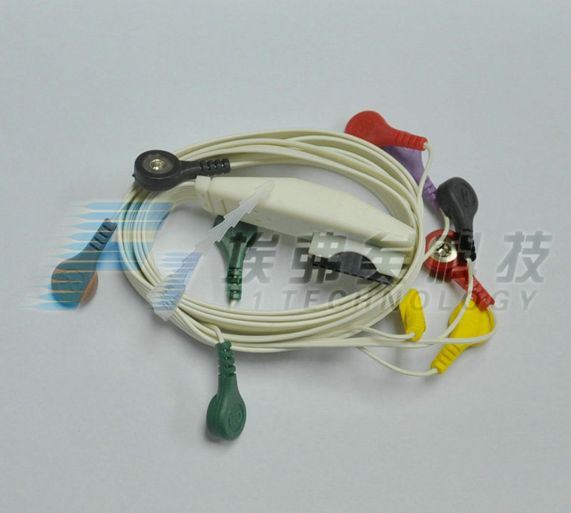 ���ֶ�̬ʮ��ŷ���ʽ����