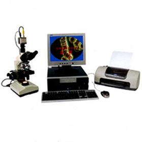 һ��Ѫ�����