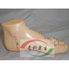 11cm�����ģ��