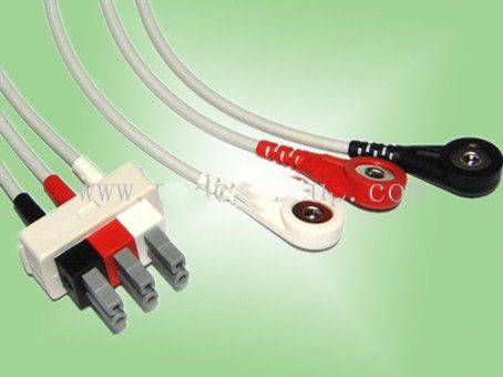 �����ַ��嵼����