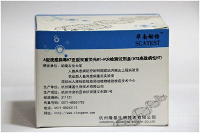 �����в���H7����˫��ӫ��RT-PCR����Լ���